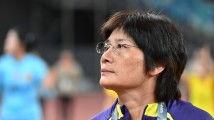 三级国产黄,揭秘我国影视产业中的独特现象